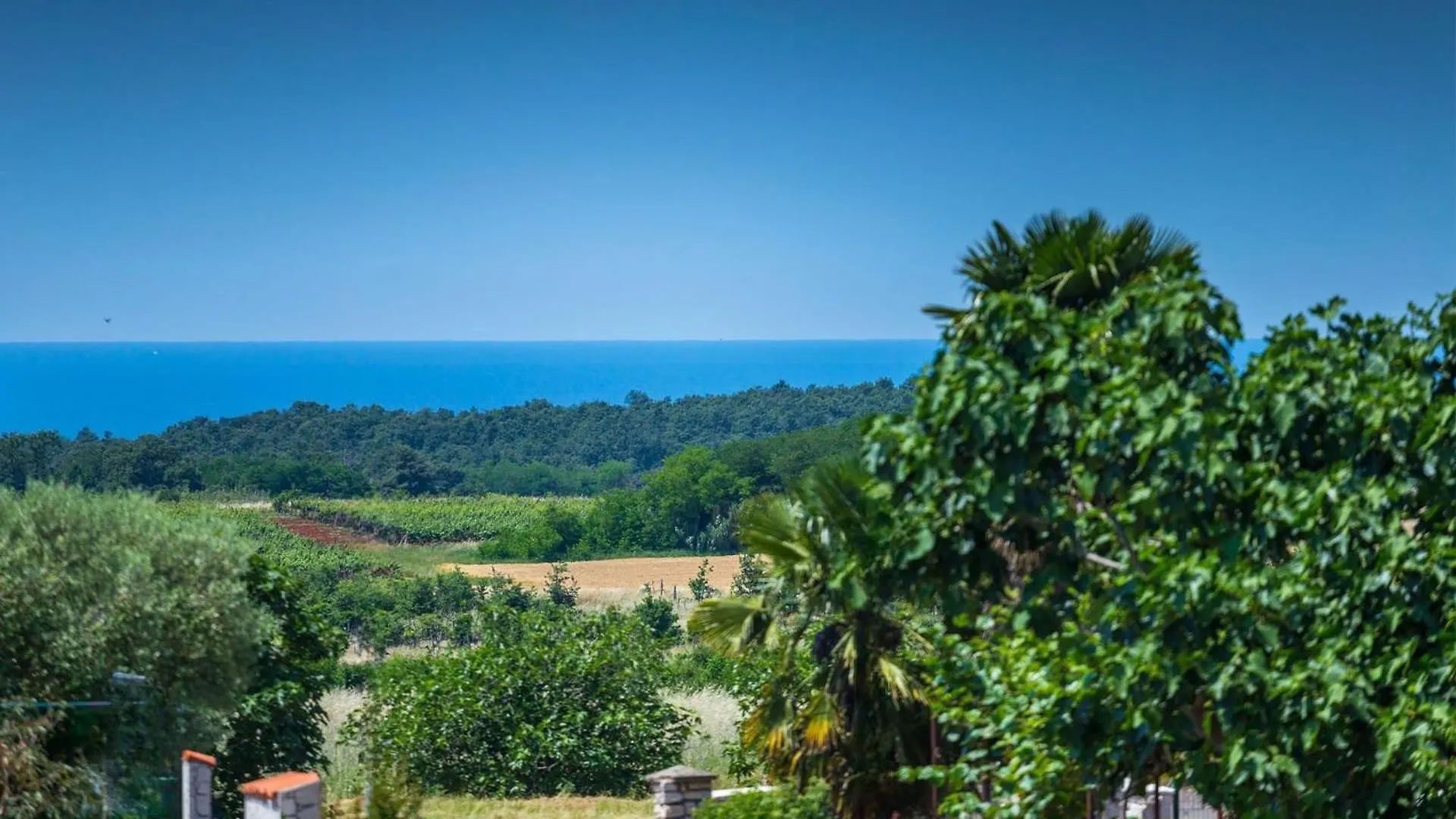 Istra Sunset Villa Buzinija Croatia